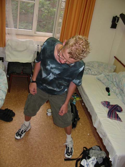 Punks not dead